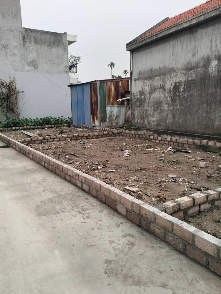 Đất nền liền kề Hoa Động Thủy Nguyên 44m² giá 1.4 tỷ - Cơ hội đầu tư hấp dẫn!