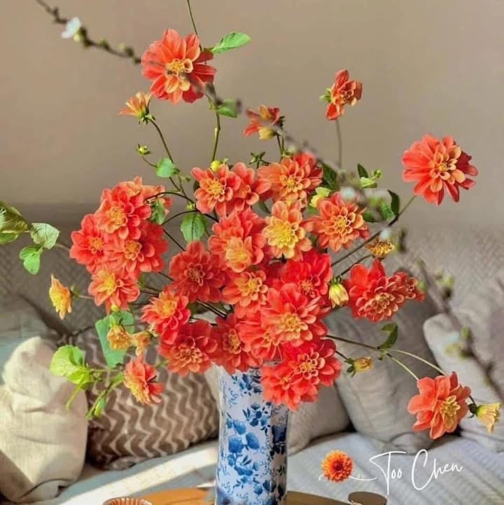 Đất nền đường Hà Huy Tập, Móng Cái 100m² chỉ 1.1 tỷ - Cơ hội vàng cho đầu tư!