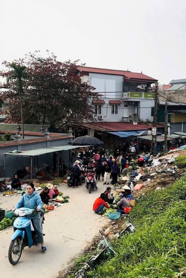 Đất nền Phương Trung Thanh Oai 43m² giá 1.95 tỷ - Cơ hội đầu tư hiếm có!