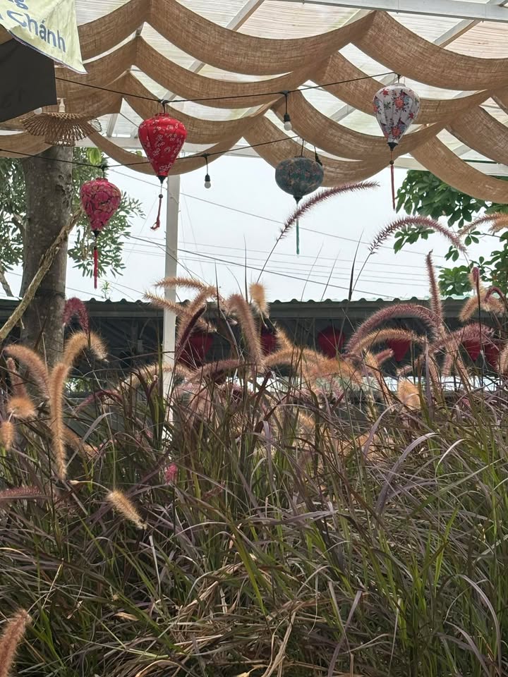 Đất thổ cư Gò Công 940m² giá 2.3 tỷ - Đường bê tông ô tô vào tận nơi!