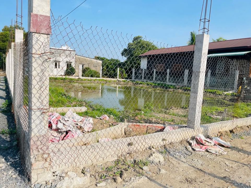 Đất vườn 562m² tại Ấp 3, Bình Chánh - Giá chỉ 2.5 tỷ, chính chủ bán gấp!