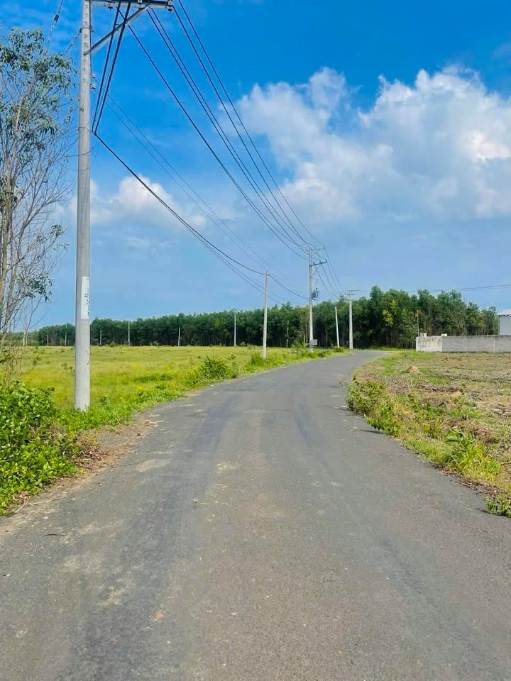 Đất nền Bưng Riềng, Xuyên Mộc 1500m² giá chỉ 850 triệu - Đầu tư sinh lời ngay!