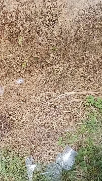 Đất nền mặt tiền Quốc lộ 53B, Duyên Hải, Trà Vinh 145m² chỉ 600 triệu - Cơ hội đầu tư tuyệt vời!