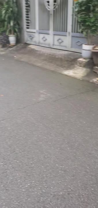 Nhà cấp 4 cho thuê tại đường Lê Lai, Bắc Giang 50m² - Vị trí tiện lợi cho gia đình!