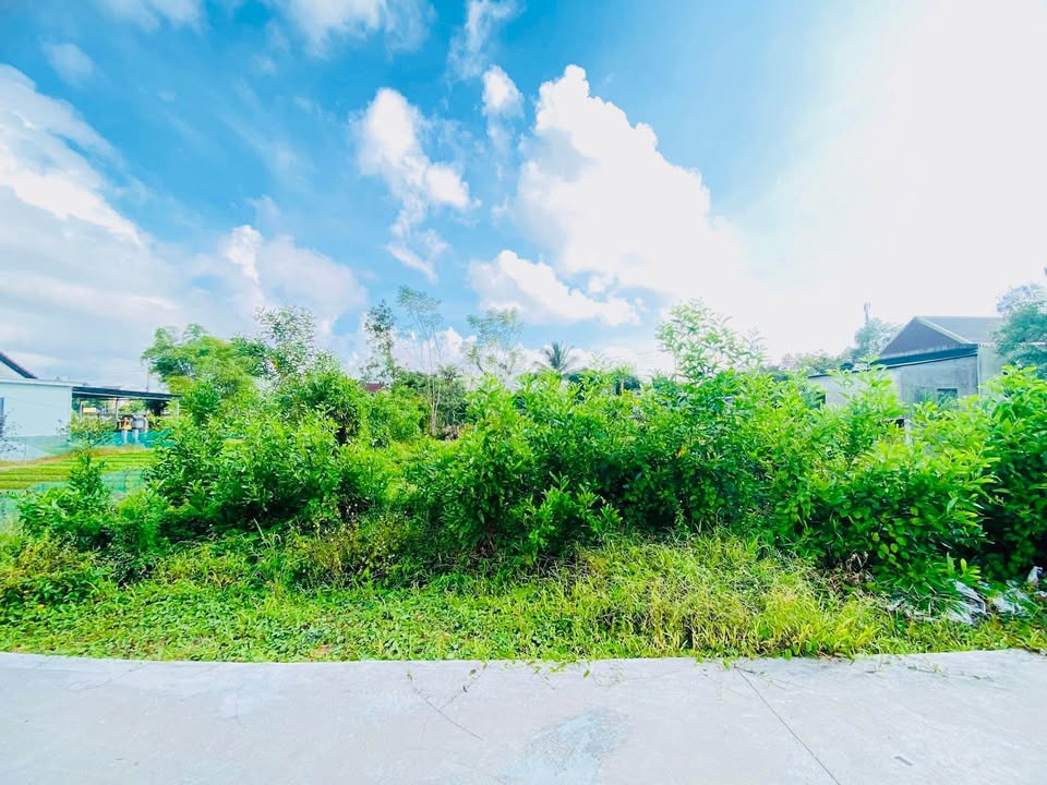 Đất nền TDP Tân Lập, Phường Phong Điền 120m² giá chỉ 500 triệu - Đầu tư sinh lời ngay!