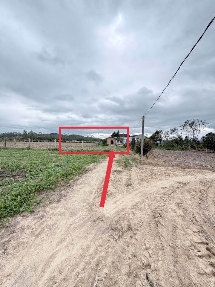 Đất thổ cư 1000m² tại Bình Hiệp, Tây Sơn - Giá cực hấp dẫn chỉ từ 3xx triệu!