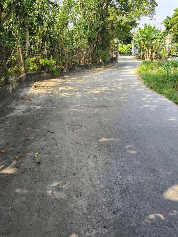 Đất Trống Tân Thới Nhì Hóc Môn 320m² giá 17 tỷ - Đường xe hơi thông thoáng!