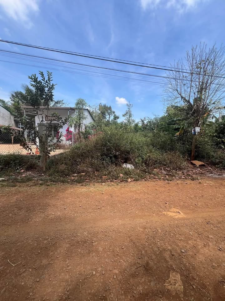 Đất thổ cư Cuôr Đăng 224m² giá 689 triệu - Đường lớn ô tô né nhau!