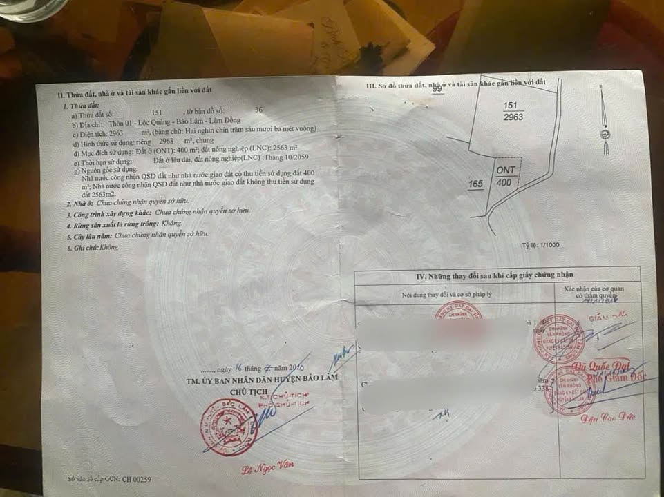 Đất nền Lộc Quảng Bảo Lâm 2900m² giá 3.8 tỷ - Đầu tư sinh lời cao!