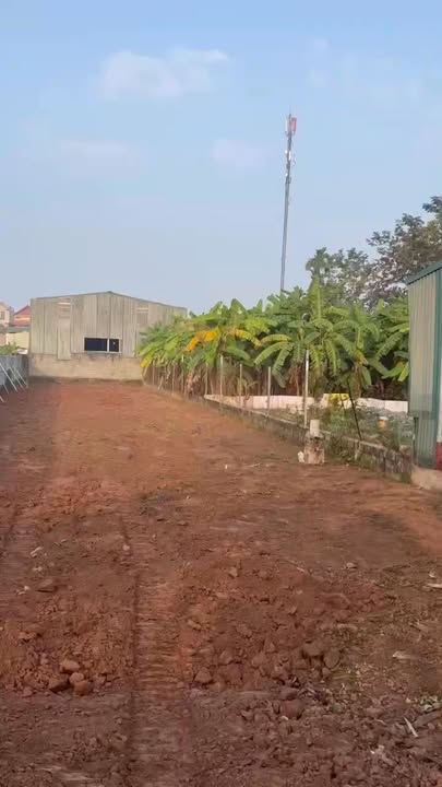 Đất vườn Sài Sơn 510m² giá 20.451 tỷ - Đầu tư sinh lời ngay!