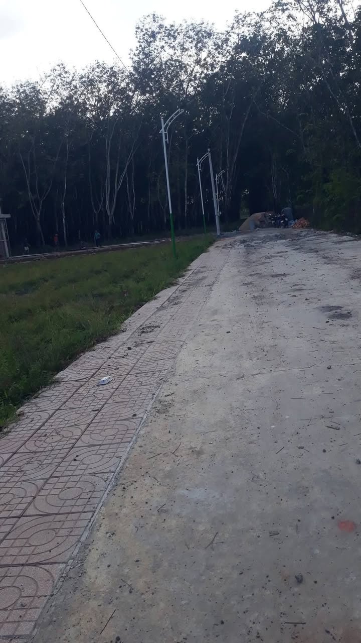 Đất nền 7.200m² tại khu phố 4, phường Hưng Long, giá 2 tỷ - Cơ hội đầu tư tuyệt vời!