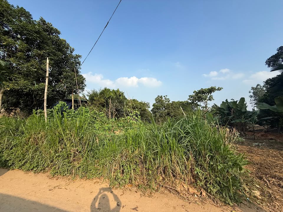 Đất thổ cư 129m² tại Khu phố 8 - Hà Lộc, giá chỉ 7xx triệu - Cơ hội đầu tư tuyệt vời!