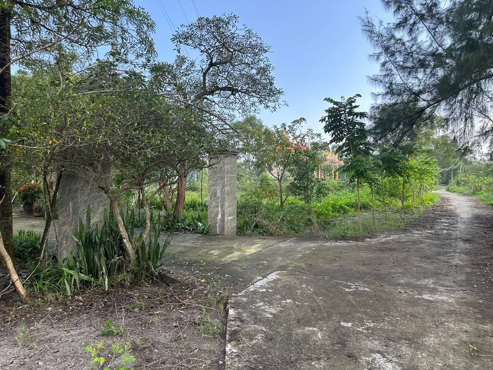 Đất Vinh Thanh, Phú Vang, 125m² giá 500 triệu - Cơ hội đầu tư tuyệt vời!