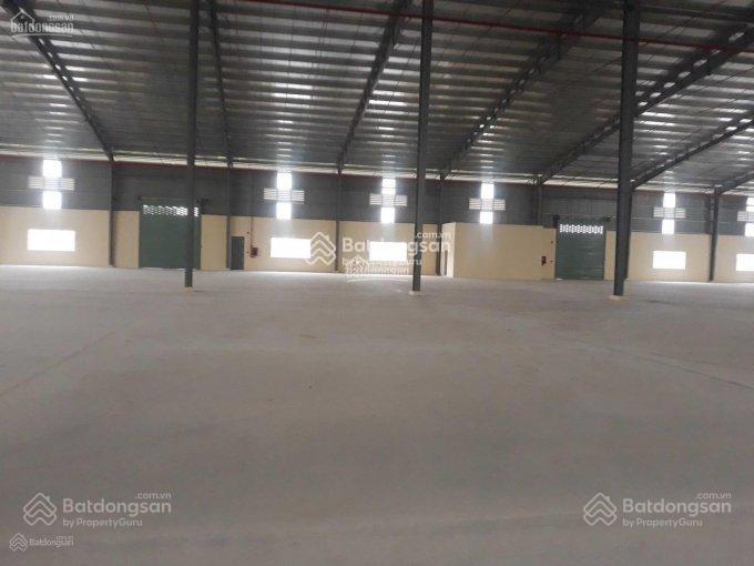 Xưởng cho thuê 10.452m² KCN Nam Thuận Đức Hòa Hạ Long An - Diện tích lớn, giá tốt