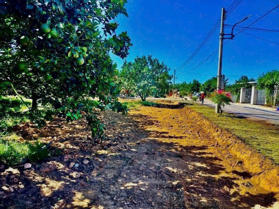 Đất vườn bưởi sinh thái Bàu Bàng 250m² giá 950 triệu - Không gian xanh lý tưởng!