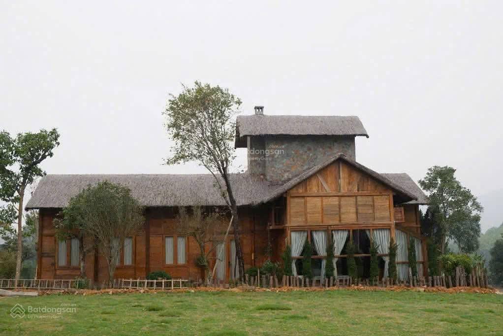 Đất thổ cư 269m² tại Hòa Lạc - Sổ hồng chính chủ, giá chỉ 3.497 tỷ!