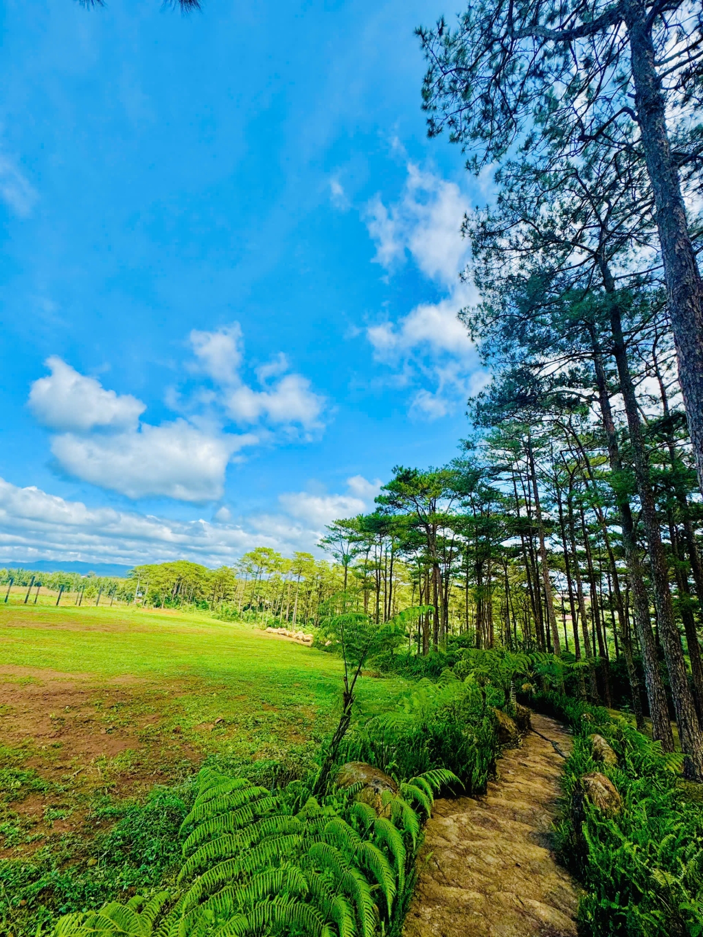 Đất nền Lộc Ngãi, Bảo Lâm 500m² giá 1.55 tỷ - View hồ Đăk Long Thượng đẹp mê hồn!