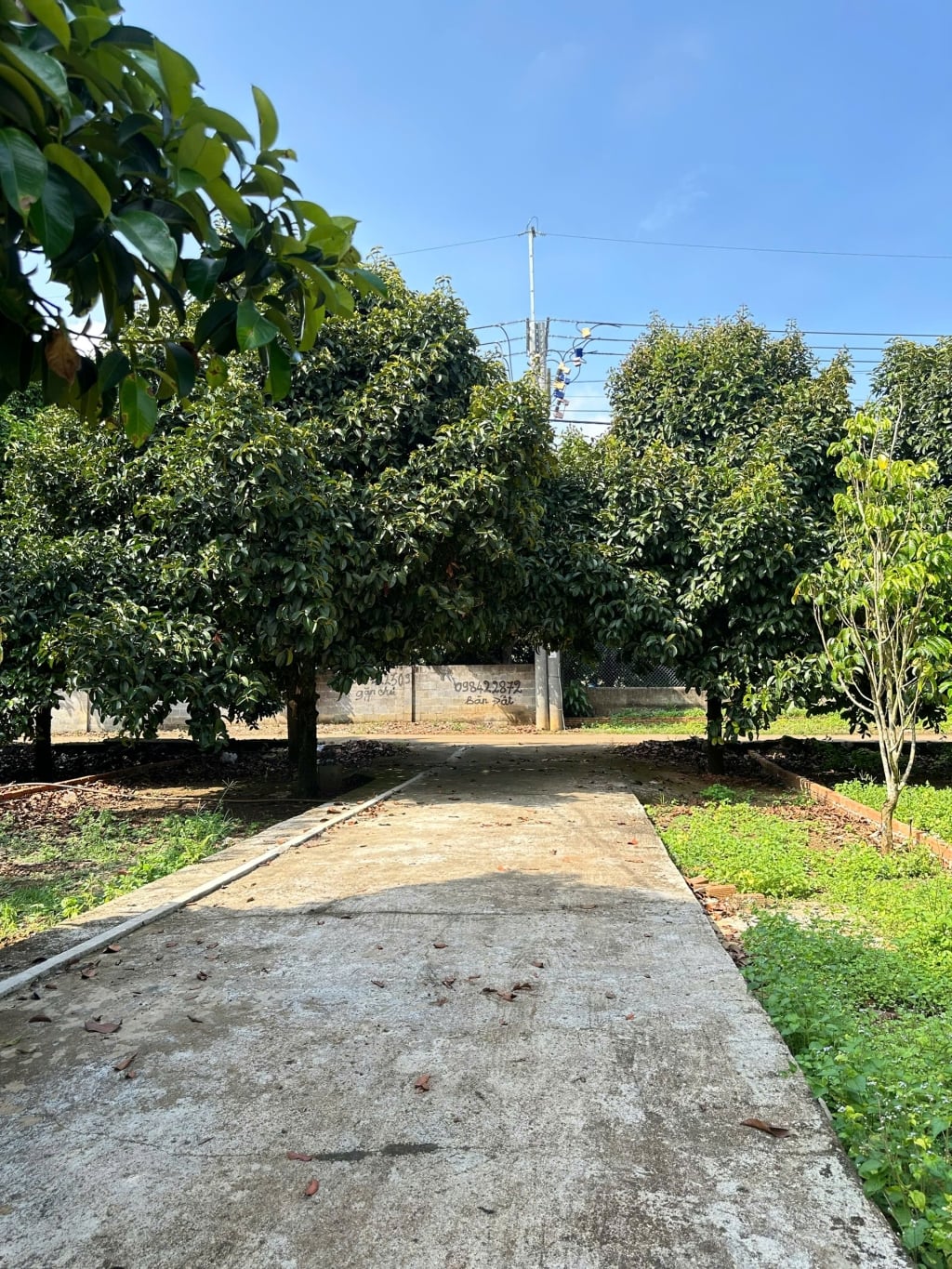 Đất thổ cư Dầu Giây 500m² giá chỉ 775 triệu - Sổ hồng chính chủ, pháp lý rõ ràng!