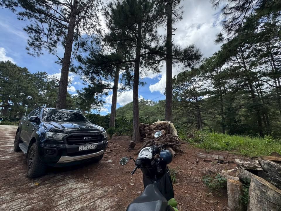 Đất nền đèo Mimosa Đà Lạt 6000m² giá 30 tỷ - View thung lũng tuyệt đẹp!