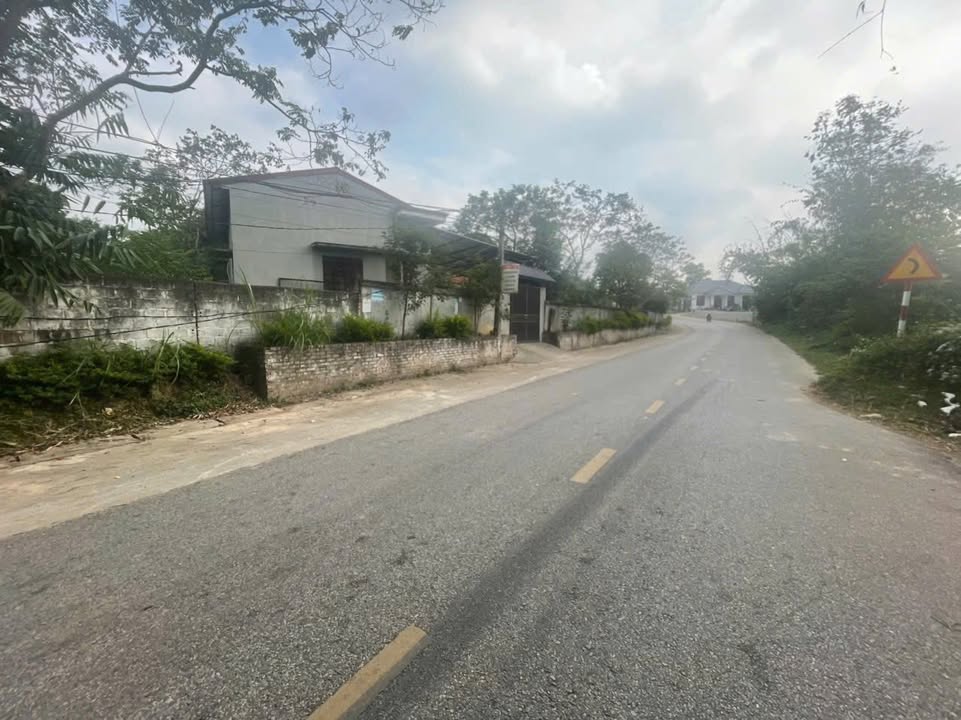 Đất nền kinh doanh Hoàng Hoa, Tam Dương 150m² chỉ 1.4 tỷ - Cơ hội đầu tư hấp dẫn!