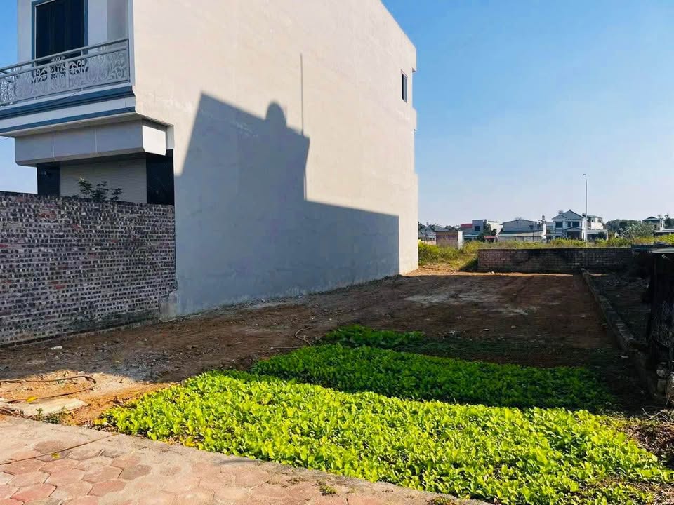 Đất tái định cư Bình Yên 200m² - Giá tốt đầu tư sinh lời!