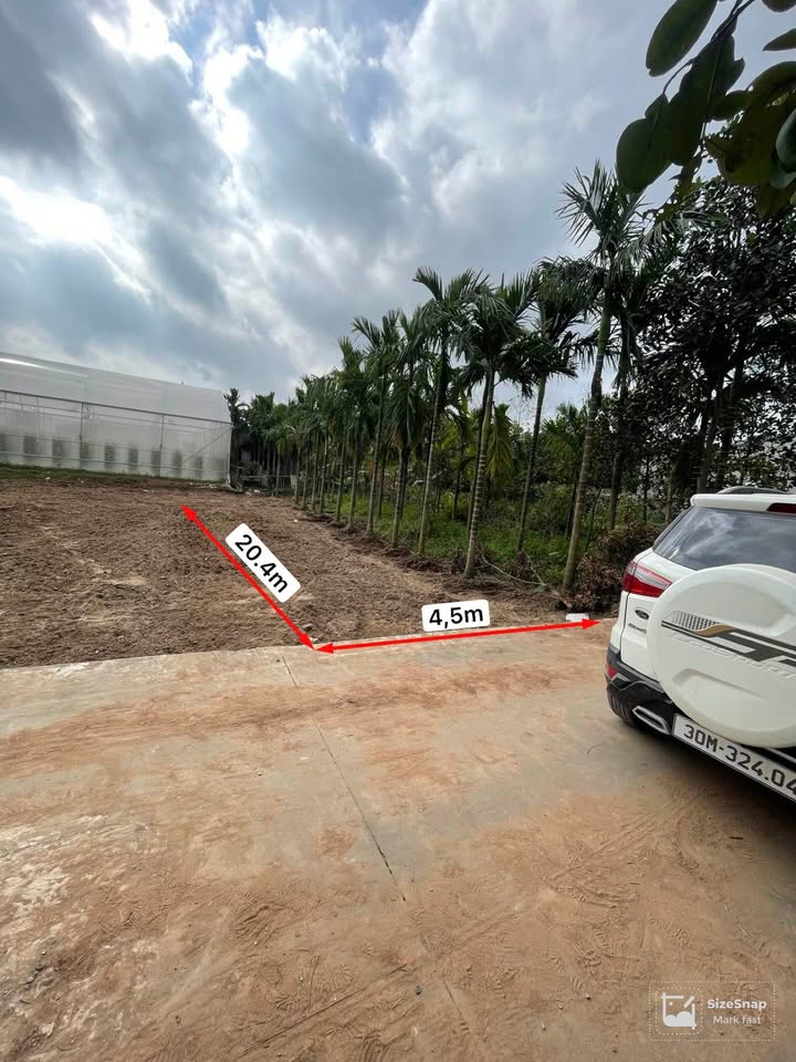 Đất nền đẹp tại Chương Dương - Thường Tín 91.8m² giá 3.8 tỷ - Cơ hội đầu tư hiếm có!