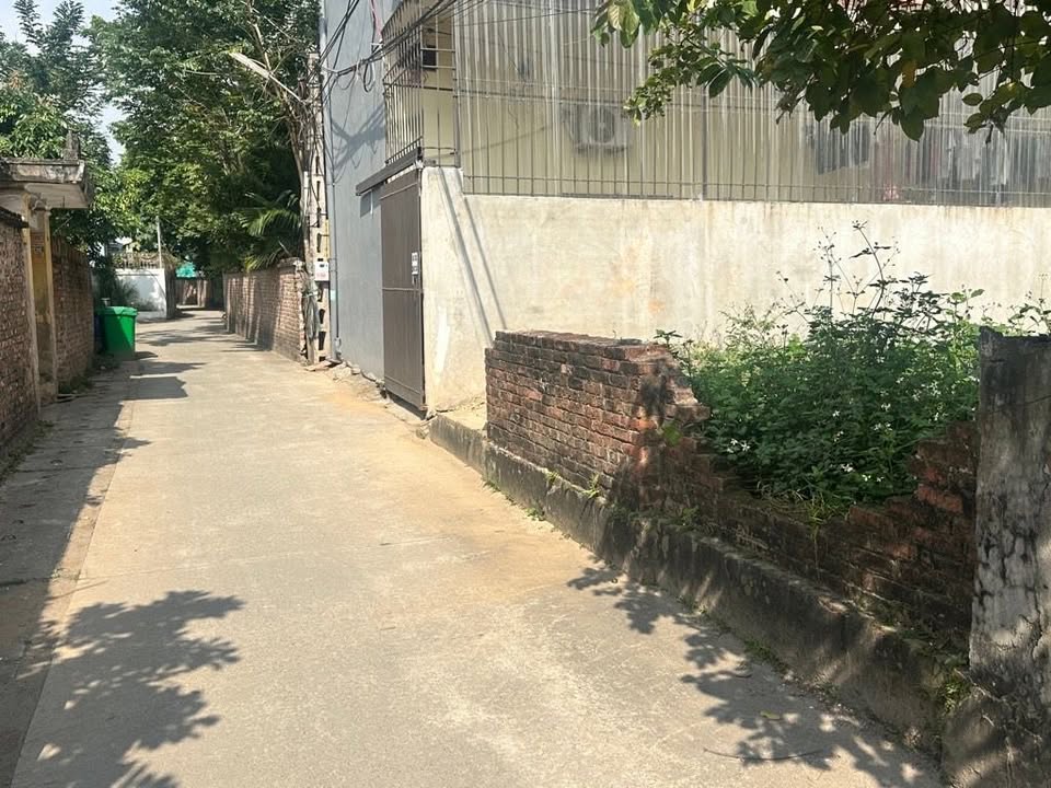 Đất mặt ngõ ô tô Thôn Hành Lạc, Như Quỳnh 207m² giá 12.3 tỷ - Cơ hội đầu tư hấp dẫn!