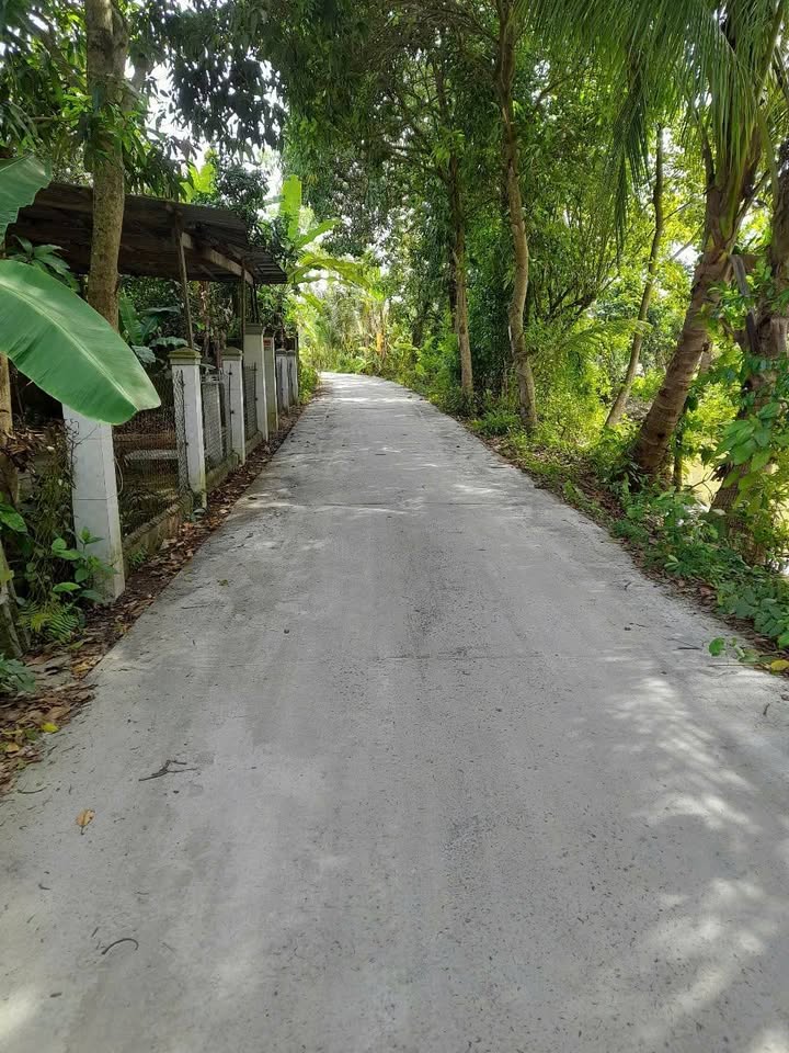 Đất nền Lấp Vò 279m² giá 750 triệu - Sổ hồng riêng, khu vực dân cư hiện hữu!