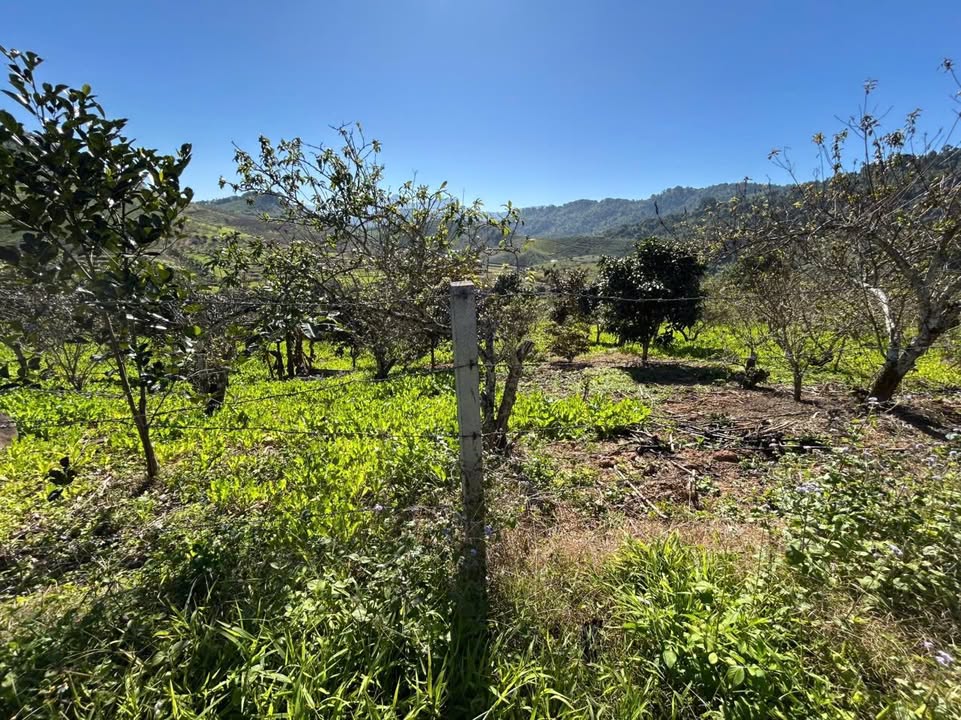 Đất nền Chiềng Sơn Mộc Châu 2000m² - View đỉnh Phaluong, giá thỏa thuận!