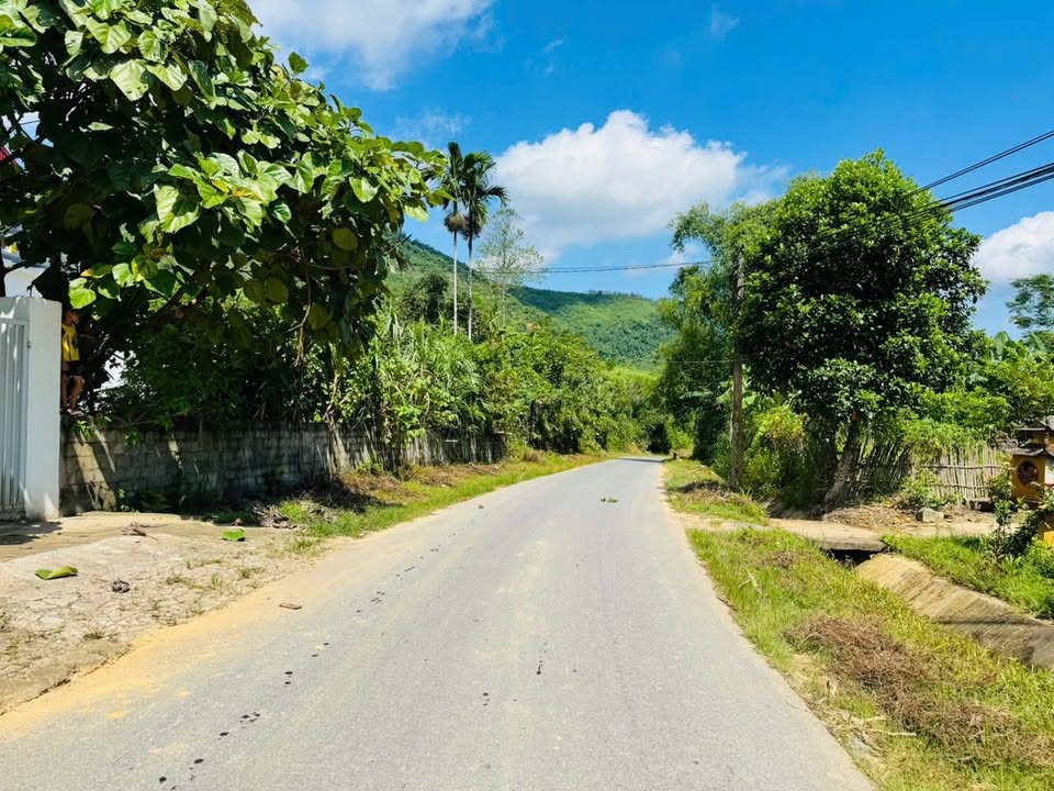 Đất nền 517m² Tân Lập, Thanh Sơn giá chỉ 5.5 tỷ - Sổ đỏ chính chủ!