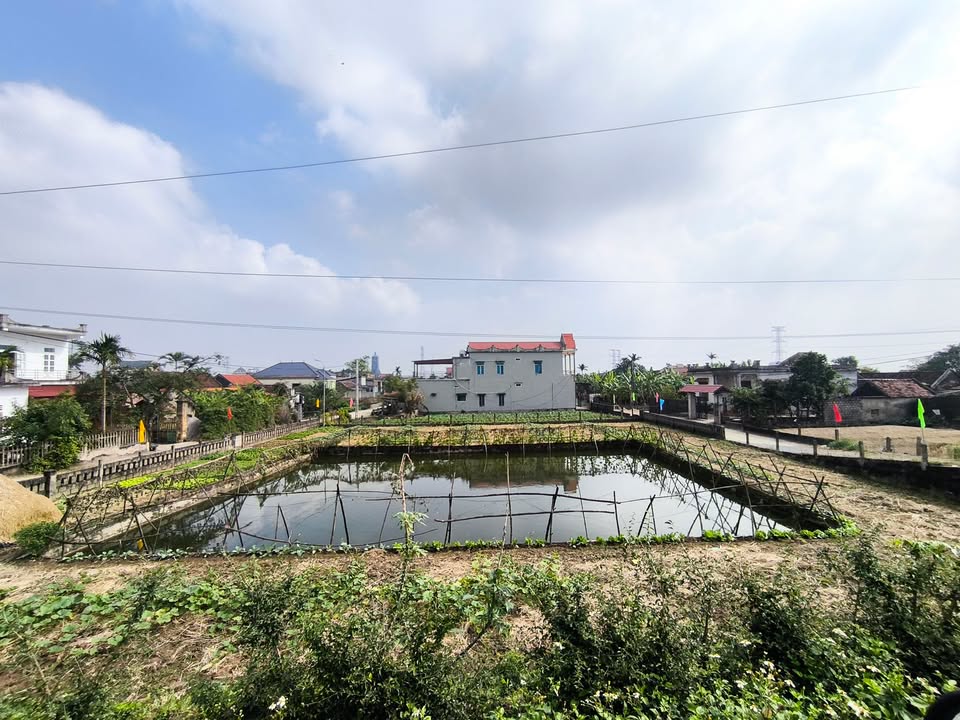 Đất thổ cư 2 mặt đường Nghĩa Phú 205m² giá chỉ 700 triệu - Cơ hội đầu tư sinh lời!