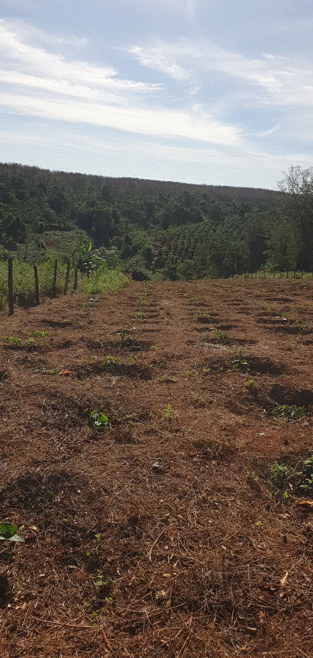 Đất nền mặt tiền Đường tránh Hàm Rồng, Đăk Đoa 2300m² giá 1.8 tỷ - Cơ hội đầu tư hấp dẫn!