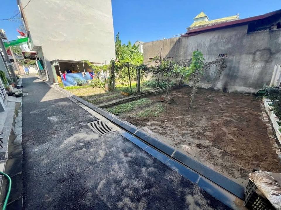 Đất Lương Quy, Xuân Nộn, Đông Anh 40m² - Vị trí đắc địa, sổ đỏ chính chủ!