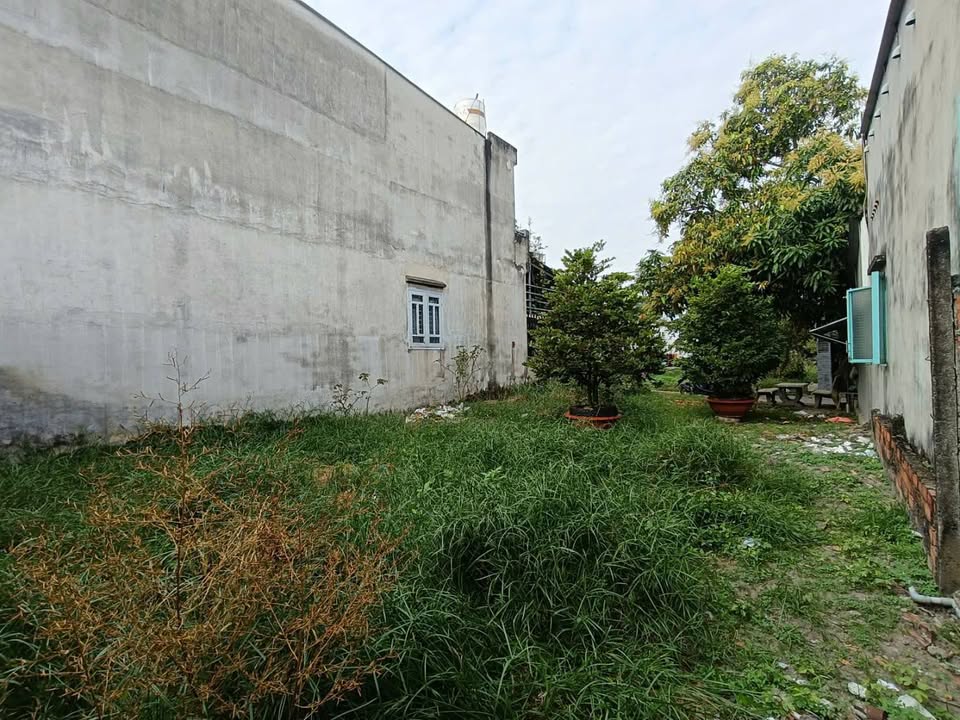 Đất nền xã Phước Vĩnh An, Củ Chi 133m² - Sổ hồng chính chủ, giá chỉ 1.8 tỷ!