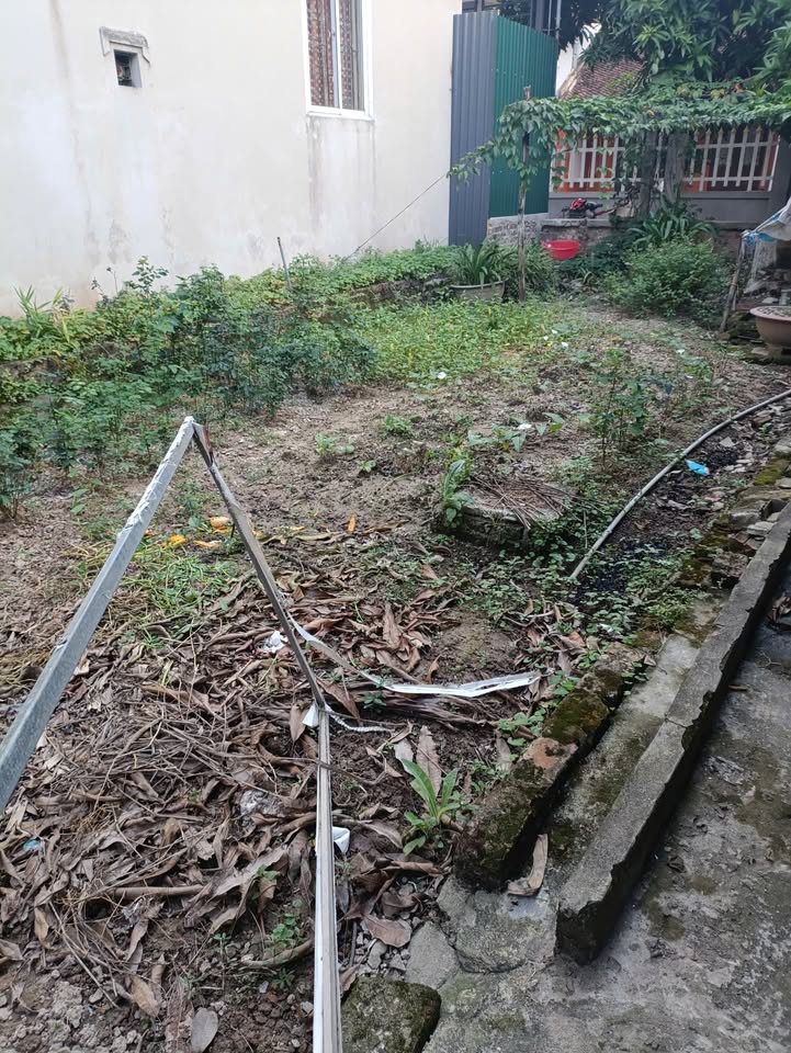 Đất Kim Chung 80m² mặt tiền 5m - Vị trí vàng gần KCN Bắc Thăng Long!