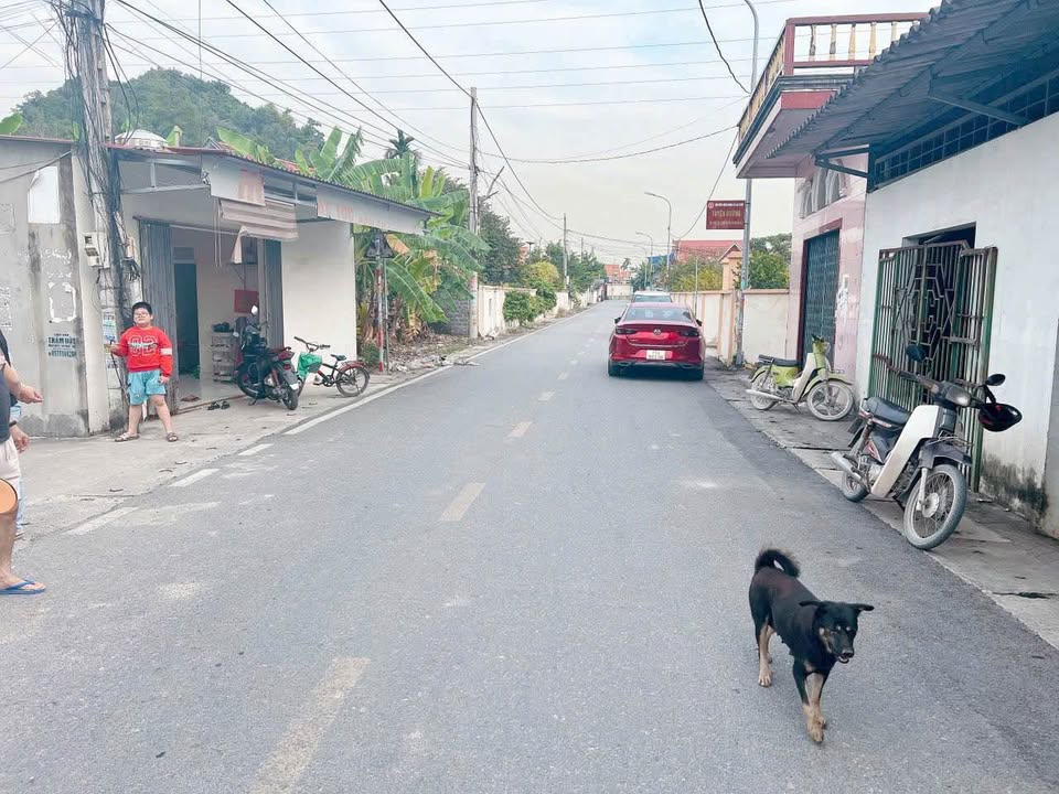 Đất nền Trung tâm xã Việt Khê 109m² giá 1.6 tỷ - Cơ hội đầu tư hiếm có!