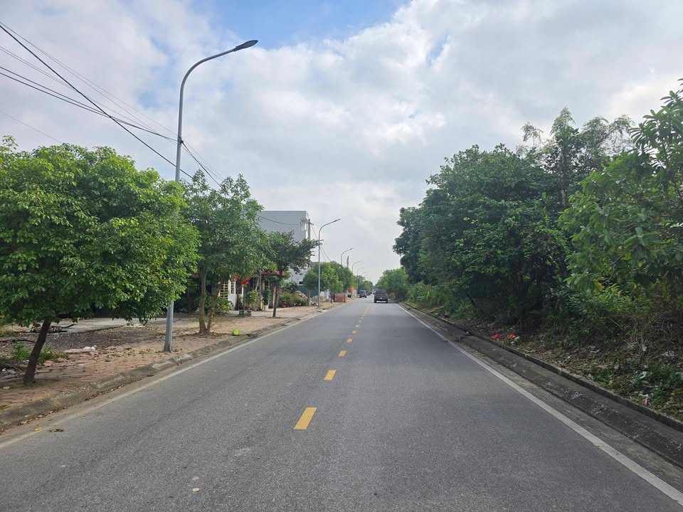 Đất Mặt Phố Hòa Bình Hải Dương 228m² - Vị Trí Đắc Địa Phù Hợp Xây Dựng Biệt Thự