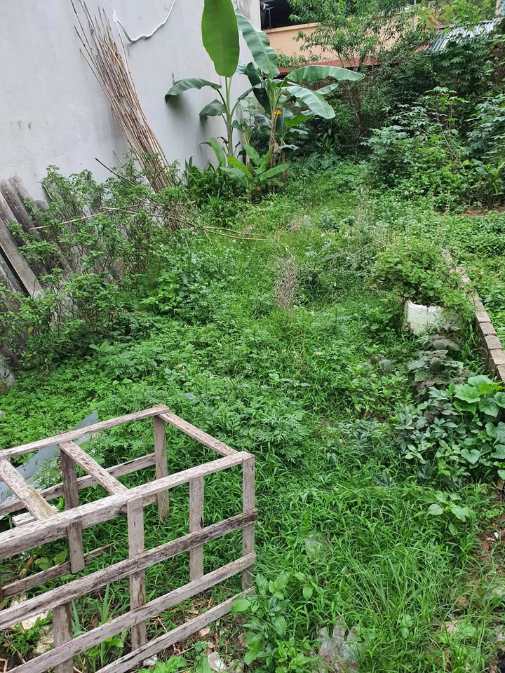 Đất nền trung tâm TP Điện Biên Phủ 80m² giá 590 triệu - Sổ đỏ chính chủ!