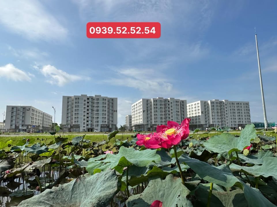 Đất nền biệt thự KDC Nam Long 2 Cần Thơ 247,5m² - Sổ hồng chính chủ, giá chỉ 10 tỷ!