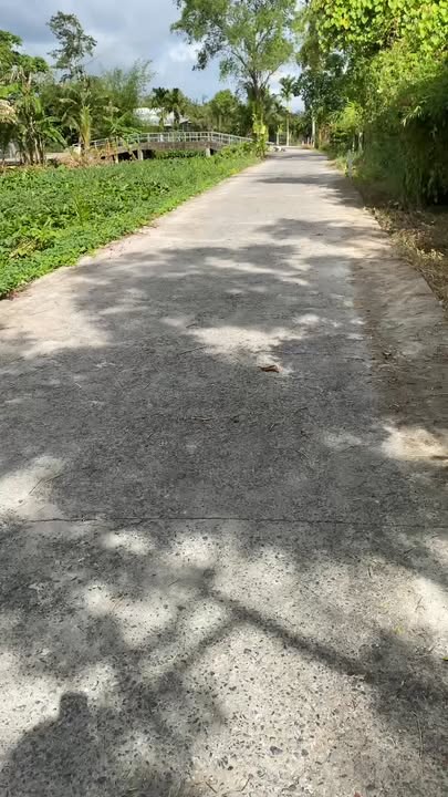 Đất nền thổ cư xã Nhơn Ái 71m² giá chỉ 485 triệu - Sổ hồng chính chủ!