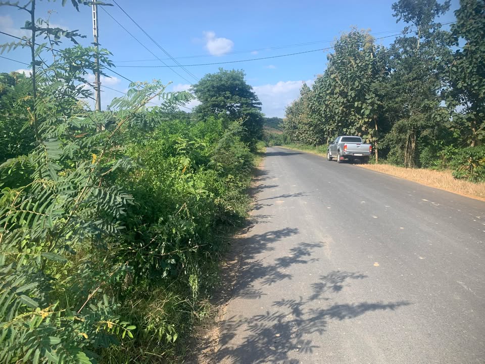 Đất nền Đắk Mil 1050m² giá 1.05 tỷ - Đầu tư sinh lời ngay!