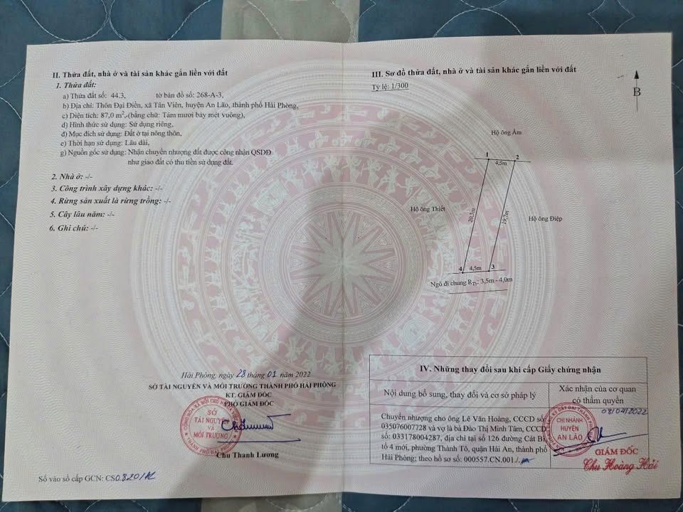 Đất nền Tân Viên An Lão 87m² giá 700 triệu - Cơ hội đầu tư hấp dẫn!