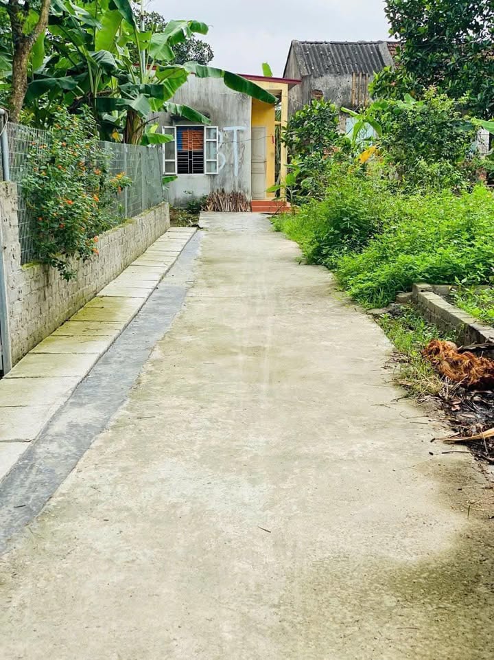 Đất nền Tân Viên, An Lão 60m² - Đầu tư sinh lời, giá hấp dẫn!