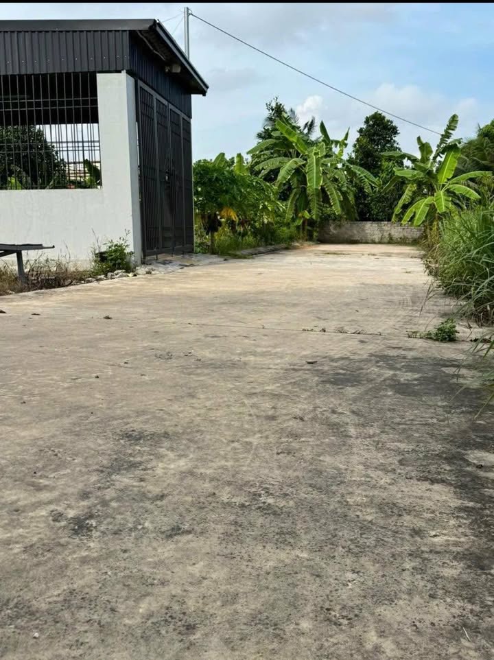 Đất nền Quang Hưng, An Lão 79m² giá 500 triệu - Đầu tư sinh lời ngay!