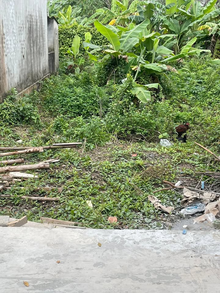 Đất lô góc 2 mặt tiền An Lão Hải Phòng 65m² giá 850 triệu - Tiềm năng tăng giá cao!