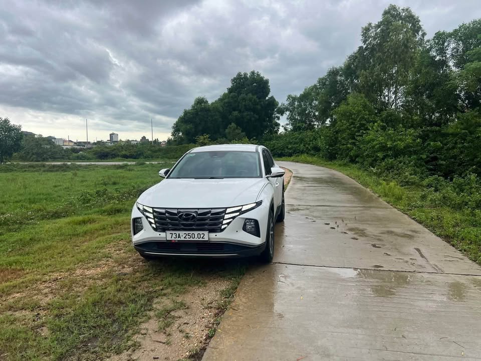 Đất đấu Phường Ba Đồn 210m² - Đầu tư sinh lời ngay!