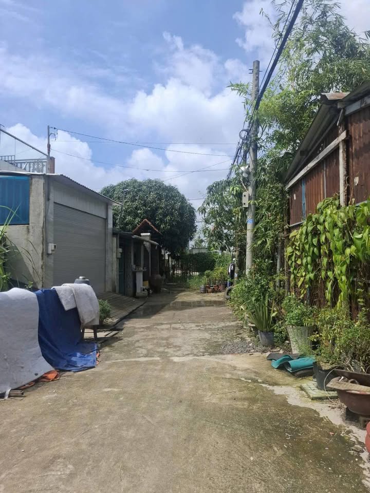 Đất nền liền kề Thạnh Xuân 52, Quận 12 - 100m² giá 3.68 tỷ - Cơ hội vàng đầu tư!