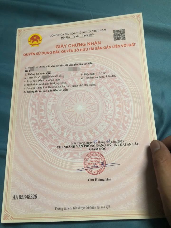 Đất nền Tân Dân An Lão 110m² giá chỉ 1 tỷ - Cơ hội đầu tư hấp dẫn!