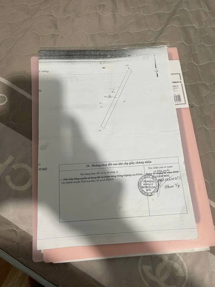 Đất lúa 40.000m² Thới Xuân Cờ Đỏ - Giá chỉ 77.4 tỷ, cơ hội đầu tư hiếm có!