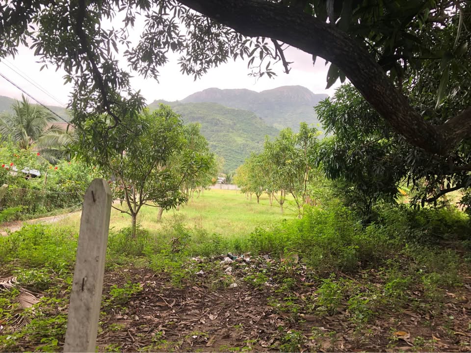 Đất thổ cư Cam Phước Đông 200m² giá 800 triệu - Nhanh tay sở hữu!